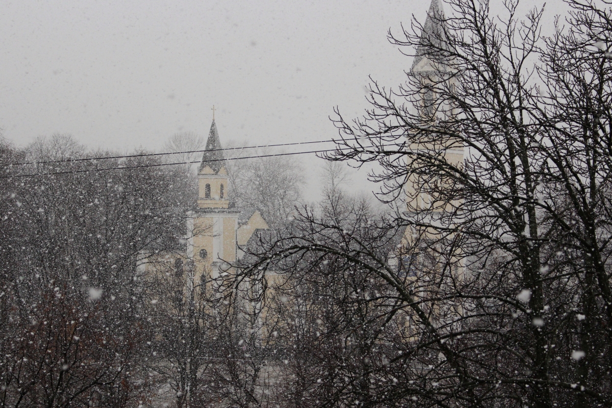 IMG_5921-01.jpeg