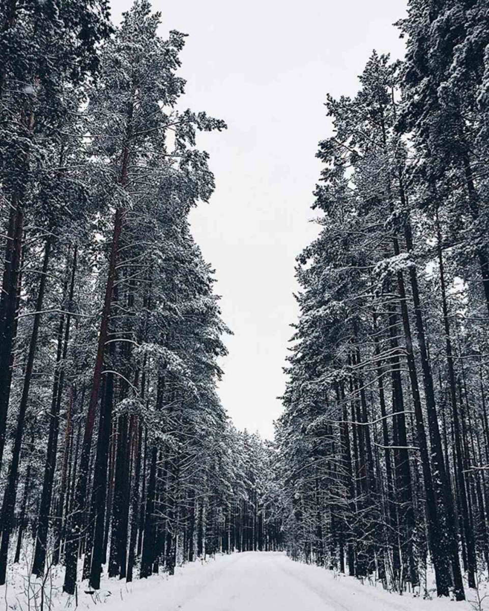 10.jpg 10.jpg