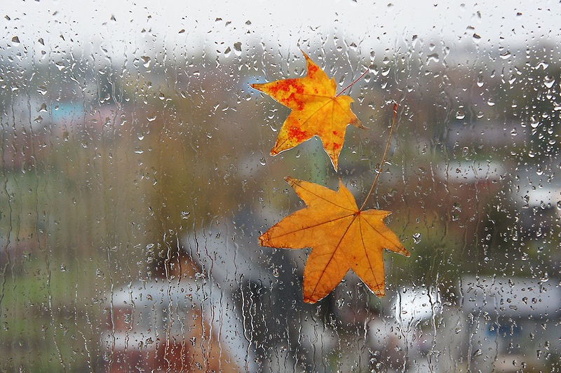image_99.jpg