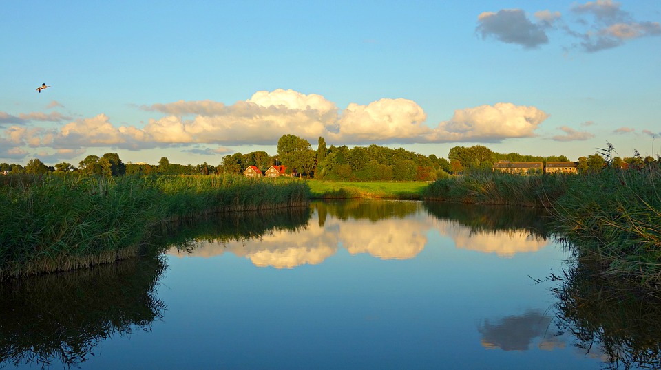 landscape-1629894_960_720.jpg