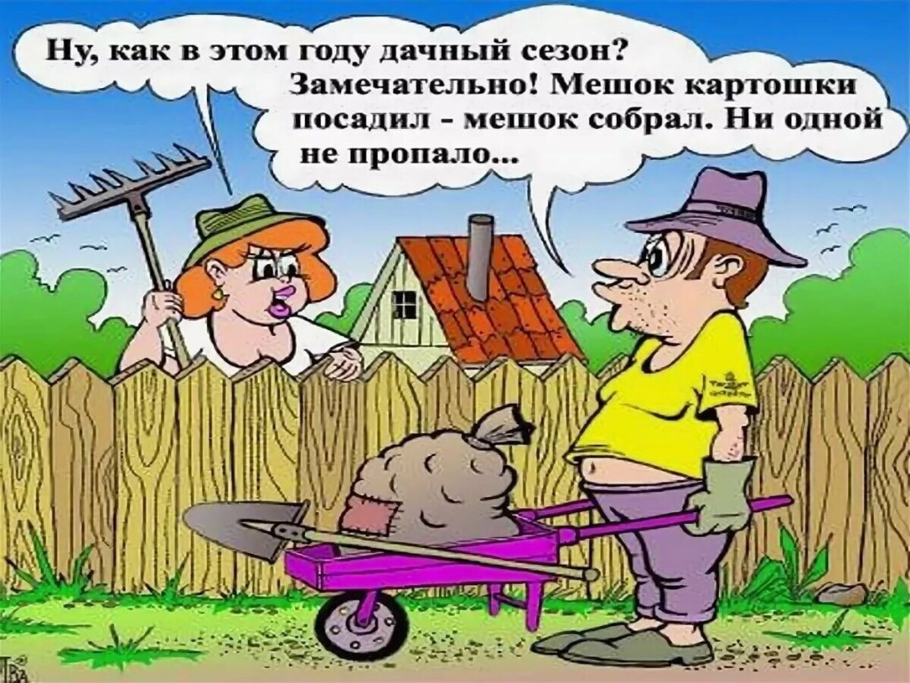 дача.jpg