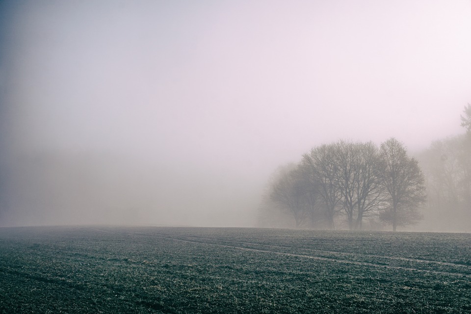 fog-828779_960_720.jpg