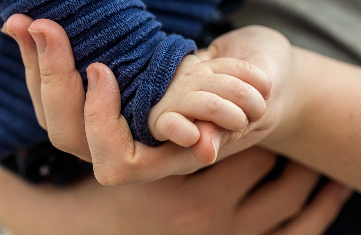 toddler-hand-4867454_1280.jpg