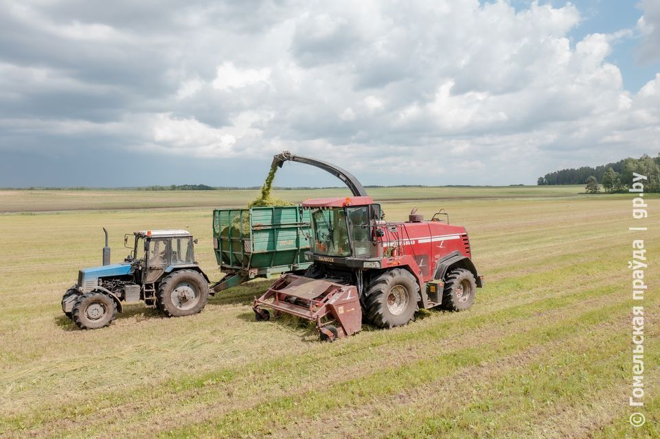 Уборка_DJI_0824.jpg Уборка_DJI_0824.jpg