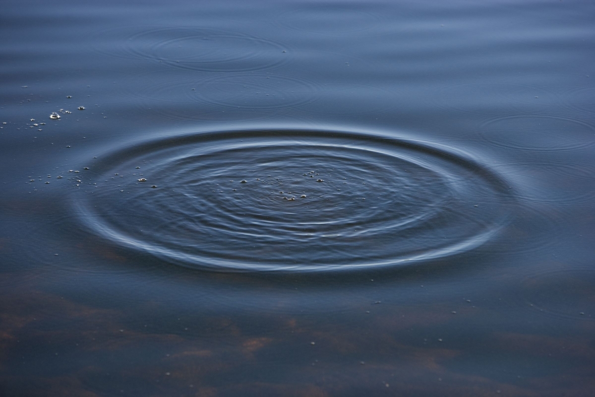 sea-water-nature-drop-wave-wet-atmosphere-pattern-reflection-splash-macro-blue-circle-ripples-bubbles-shape-macro-photography-wind-wave-905263.jpeg sea-water-nature-drop-wave-wet-atmosphere-pattern-reflection-splash-macro-blue-circle-ripples-bubbles-shape-macro-photography-wind-wave-905263.jpeg