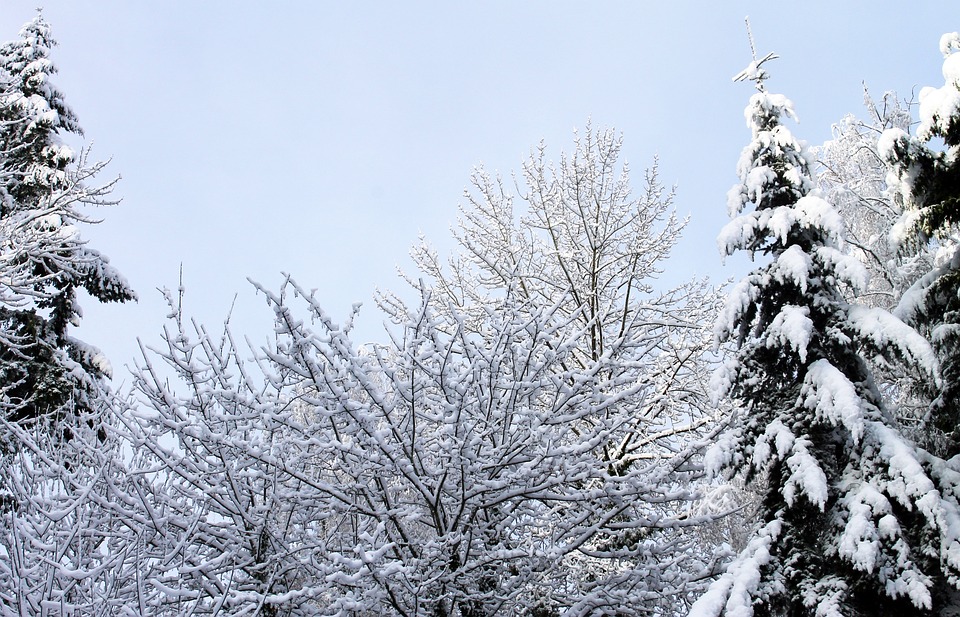 winter-4763664_960_720.jpg