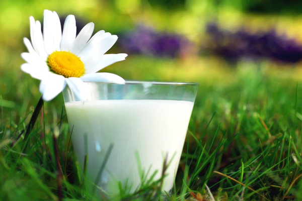 1438191720_milk.jpg