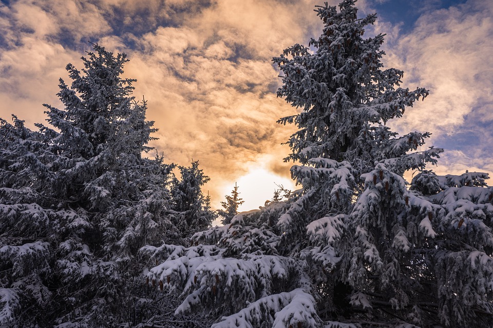winter-5951283_960_720.jpg