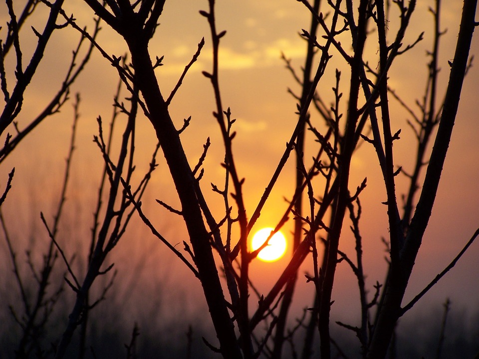 sunset-173151_960_720.jpg sunset-173151_960_720.jpg