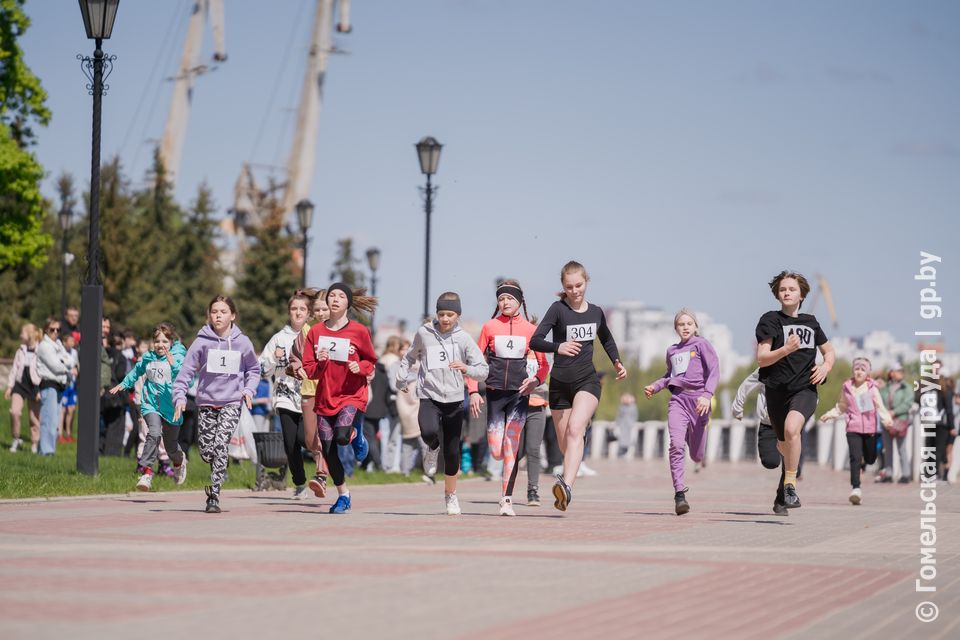 Спорт Гомельской области: статистика достижений и инфраструктура 2022-2026 Спорт Гомельской области: статистика достижений и инфраструктура 2022-2026