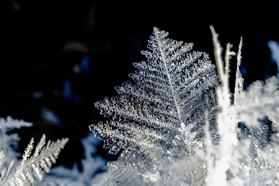 snowflakes-7612020_960_720.jpg