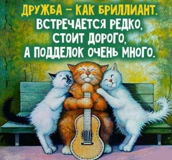 дружбаа.jpg дружбаа.jpg