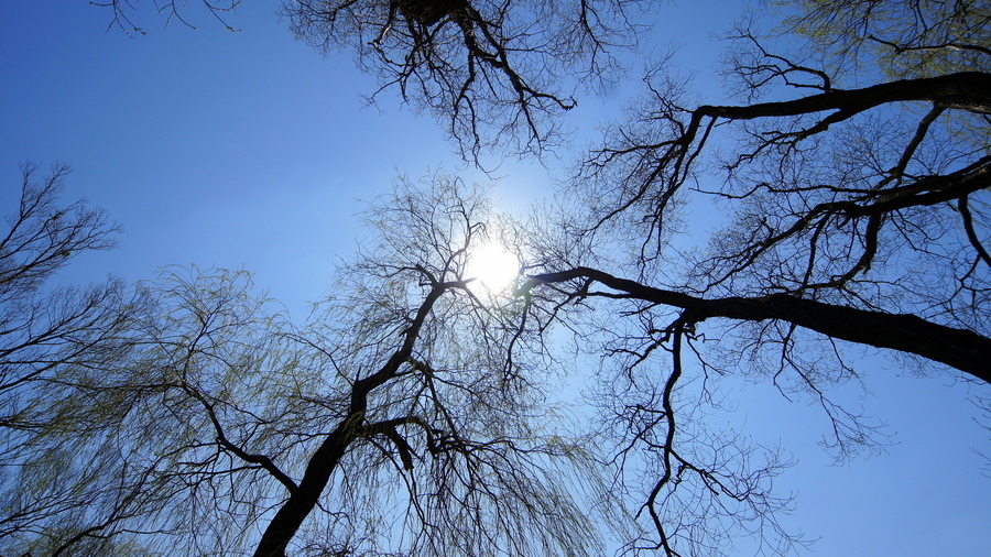 62010.jpg 62010.jpg