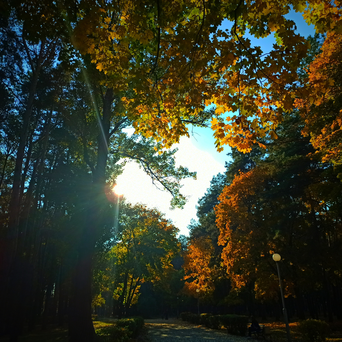 IMG_20211008_172659.jpg