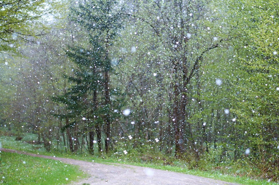 rain-2775032_960_720.jpg