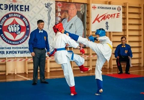 В гомельской школе № 9 прошел республиканский спортивный турнир по киокушинкай карате «Сэйкен»