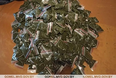 В Мозыре мужчина дома торговал насваем. Изъято более 12 кг товара