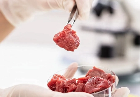 Частная фирма поставила школе Гомельского района некачественное мясо. Какой теперь заплатит штраф?