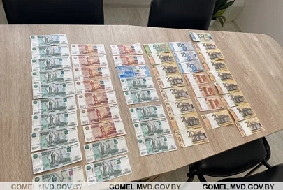 В Гомеле и Мозыре задержали валютчиков