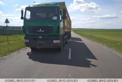 В Мозырском районе под колесами грузовика погиб водитель электросамоката