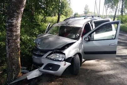 В Жлобинском районе женщина-водитель не справилась с управлением и врезалась в дерево