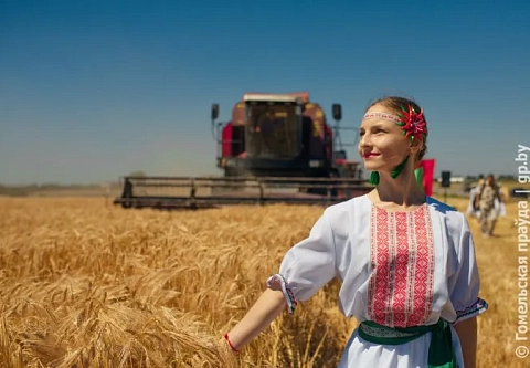 Битва за урожай: на Гомельщине стартовала жатва