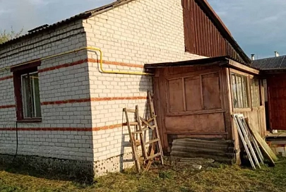 В Мозыре задержан серийный вор из дачных домов