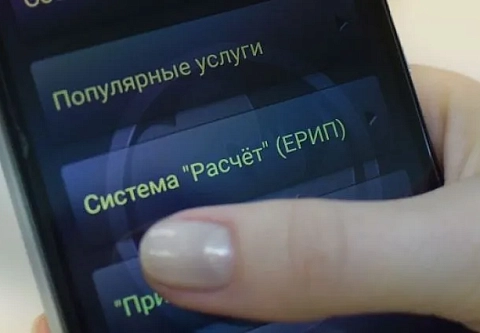 Оплатить продукцию и услуги лесхозов можно онлайн