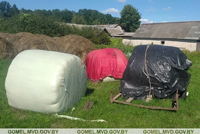 Жительница Рогачевского района закатила на личное подворье три рулона государственного сенажа