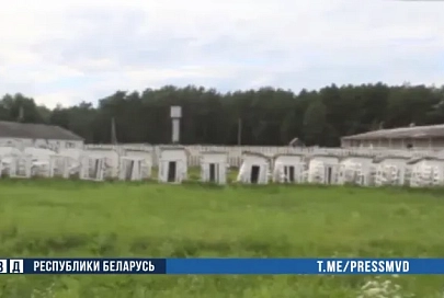 В Калинковичском районе раскрыто хищение почти 500 коров 
