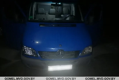 В Жлобинском районе 7-летний мальчик спрыгнул с автомобиля и получил травму головы. Он в реанимации