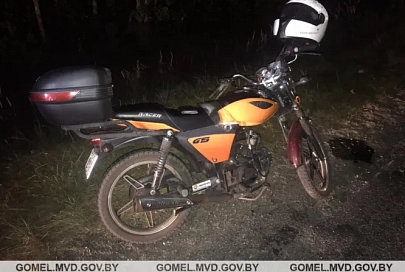 В Светлогорском районе мотоциклист сбил косулю
