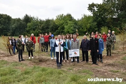 Укрепляя единство: в деревне Грабовка Гомельского района прошла высадка липовой аллеи