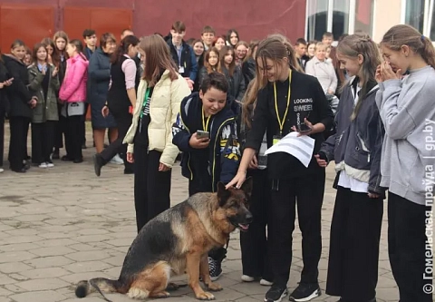 В Урицкой средней школе провели профилактический форум  «Наркотики. Ответственность. Последствия. Жизнь прекрасна – НА СВОБОДЕ»