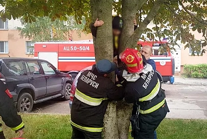 Жлобинские спасатели сняли с дерева застрявшего ребенка