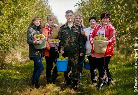 Профсоюзы и молодежь помогли комбинату "Восток" в сборе яблок