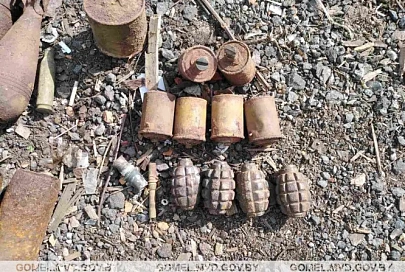 Арсенал боеприпасов и взрывчатых веществ изъяли в Рогачёвском районе