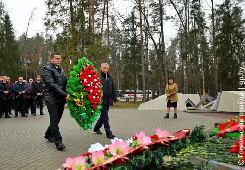 Про лес, молодежь и будущее — конструктивно. В Гомеле прошел республиканский семинар-совещание с молодыми лесоводами