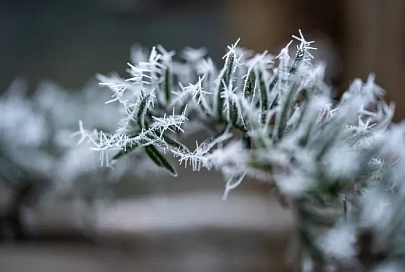 Без осадков и до +1°C ожидается в Гомеле 9 декабря