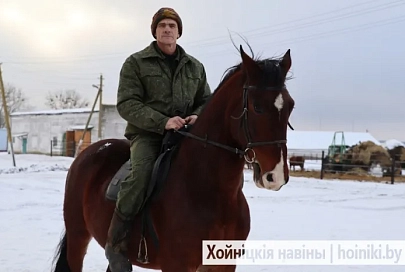 Журналист районки навестила лошадей в Воротце и прокатилась на Бантике