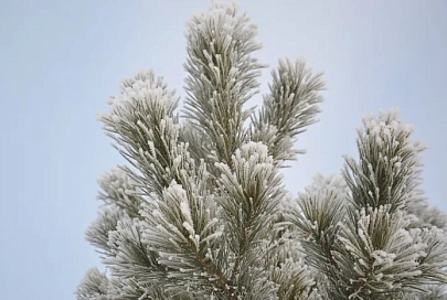 Облачно, гололедица и до -5°C ночью ожидается в Гомеле 13 декабря