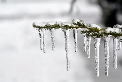 Гололедица и до -6°C ночью ожидается в Гомеле 13 января