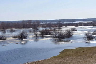 Откачать – откачали, а вода прибывает? Доставляют ли проблемы жлобинчанам талые и паводковые воды