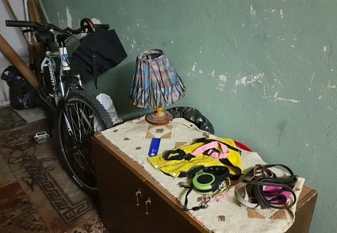 Главней всего порядок в доме
