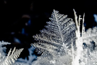 Без осадков и до -4°C ночью ожидается в Гомеле 15 февраля