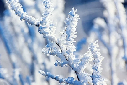 Осадки и до +5°C ожидается в Гомеле 18 февраля