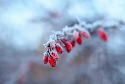 Осадки, порывистый ветер и до +4°C ожидается в Гомеле 19 февраля