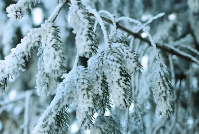 Осадки и до -5°C ночью ожидается в Гомеле 10 марта