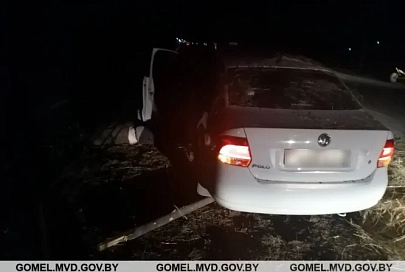 В Жлобинском районе произошло ДТП с участием гужевого транспортного средства