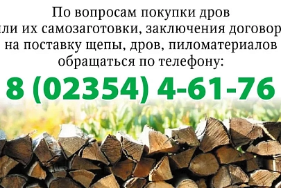 Официальный партнер 85-летия Гомельской области Ельский лесхоз реализует щепу, дрова и пиломатериалы